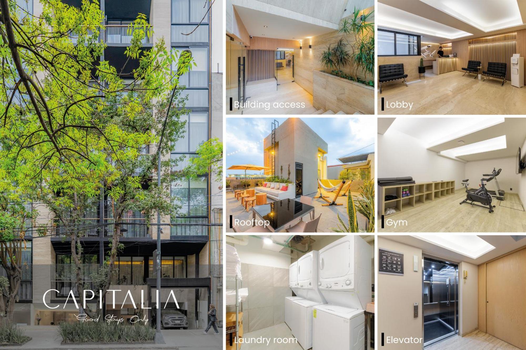מקסיקו סיטי Capitalia - Luxury Apartments - Homero מראה חיצוני תמונה